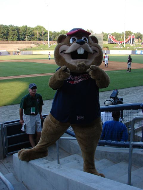 gwinnett braves mascot